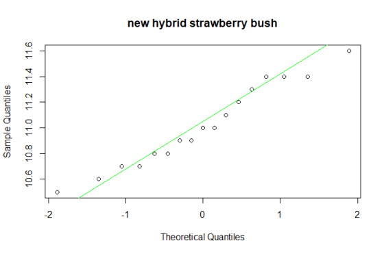 new hybrid strawberry bush E.N 03 -2 0 2 Theoretical Quantiles