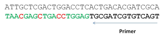 ATTGCTCGACTGGACCTCACTGACACGATCGCA TAACGAGCTGACCTGGAGTGCGATCGTGTCAGT Primer