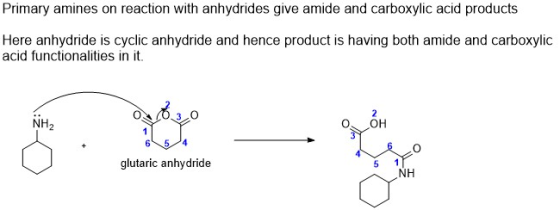 Primary amines on reaction with anhydrides give amide and carboxylic acid products Here anhydride is cyclic anhydride and hen