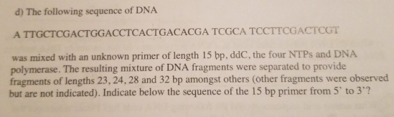 d) The following sequence of DNA TTGCTCGACTGGACCTCACTGACACGA TCGCA TCCTTCGACTCGT was mixed with an unknown primer of length 1