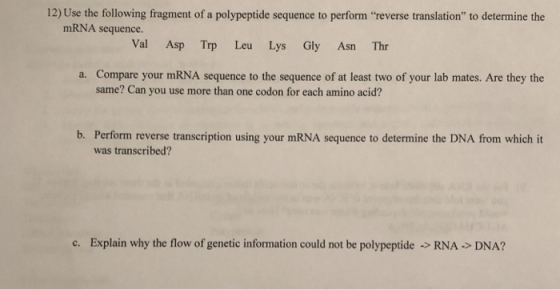 12) Use the following fragment of a polypeptide sequence to perform reverse translation to determine the mRNA sequence. Val