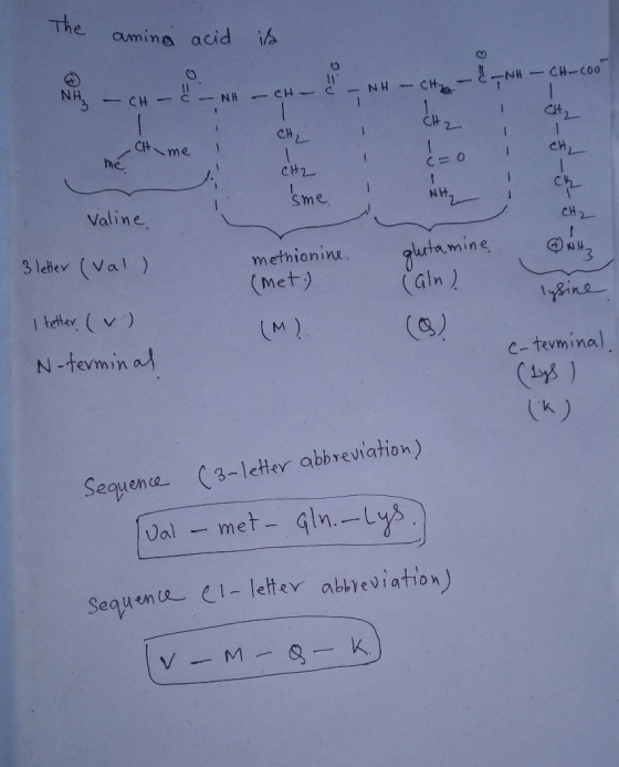 he anning acid is N H I CH CH CH he CH2- Sme Valine CH 3 letev (Val) urtamine methionine. (Met) tee ) (AM) (g丿 N-tevminal c-t