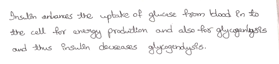 uptake of gucase Pom Hood en t the coll for anergy produdion and also -fos gycganlyss gnsulan ananes the Cdhus nsulan dauseas