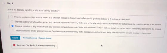 Part A Why is the stepwise oxidation of fatty acids caled 8 oxidation? Stepwise oxidation of faty acids is known as B oxidati