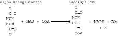 alpha-ketoglutarate succinyl CoA +NAD + CoA > NADHCO2 + H OA