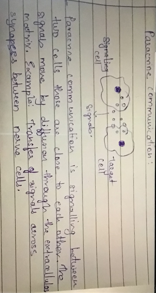cormmuwcalian cell fararnne comm uwcaton is s twp cells ote ave clae ialling LUYOsS sunapges betu veen neae cell