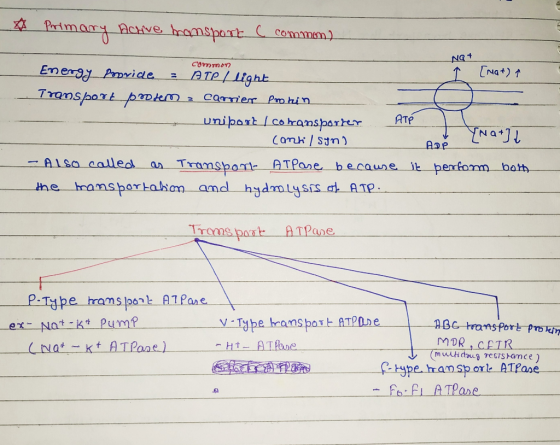 fortmay ACrive ramsport commem) NG Common Energy Pvide TNG+) ATeLlight Transpart pkm CarnerPohin uniport (cobeansparker ATP Y