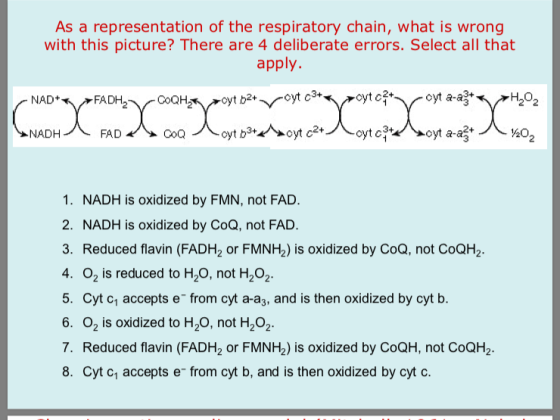 As a representation of the respiratory chain, what is wrong with this picture? There are 4 deliberate errors. Select all that
