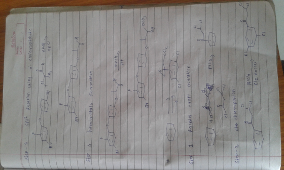 PAGE: DATE: 5N2 Reachon using 디 HeHo bT meoH o CA C) niel cl aida Cl2 excess Cl