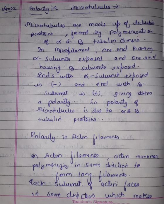 proto.no-一ㄧ terred-de- foly and end uth uing them mono men longilome ct sarre dne chah which make