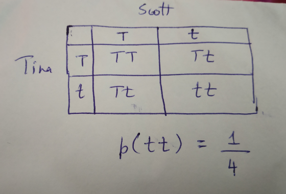 Suotr ) ha も17t L4