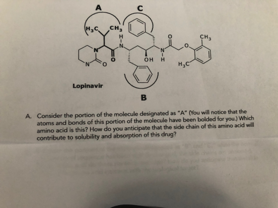 сH H3C H CHз OH N H,с Lopinavir A. Consider the portion of the molecule designated as A (You will notice that the atoms and