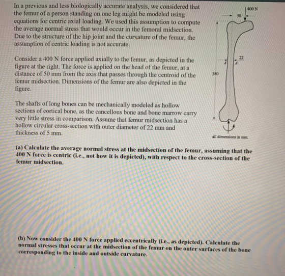 In a previous and less biologically accurate analysis, we considered that the femur of a person standing on one leg might be