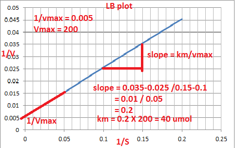 LB plot 0.05 1/vmax= 0.005 Vmax = 200 0.045 0.04 0.035 166s slope km/vmax. 0.025 0.02 slope 0.035-0.025 /0.15-0.1 -0.01/0.05