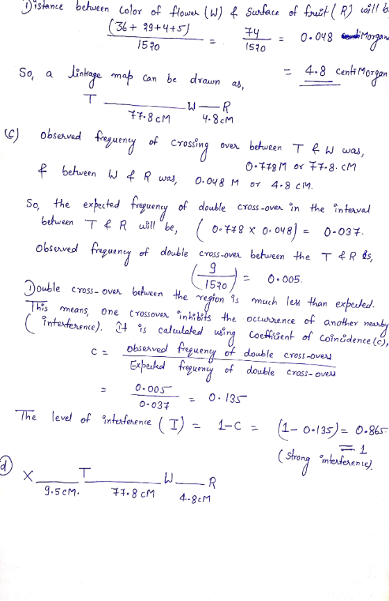 istanebetween S20 15 10 4.8 Cenk Morgan So, a Jinkege ma can be draun as, 4.8cM キキ. 8 CM C) Observed fegueny of CrossRng over