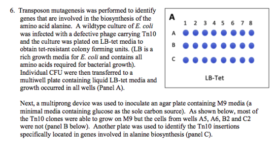 6. Transposon mutagenesis was performed to identify genes that are involved in the biosynthesis of theA amino acid alanine. A