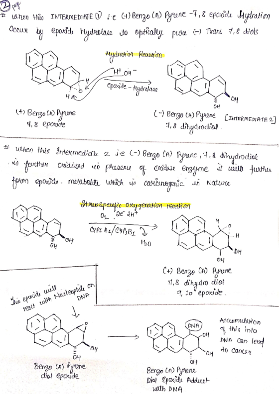Berga (A) y tene-7 r 8 epoxide Mthalim ushen thio INTERMEDIATE V je epoxid tydoine doypse eponde-Hydrelaad ) Bengo C) Pyune 4