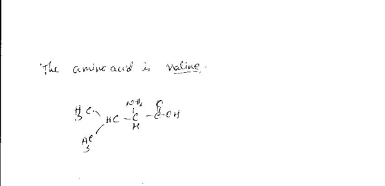 valine Gmi a HC