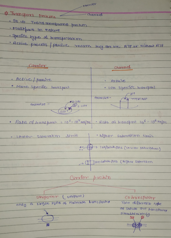 coTmem ThrOn shart pantems Channel Trans manmhame pmhm multpars Specifto ype ot hramsportahion -Active papces pamive m narume