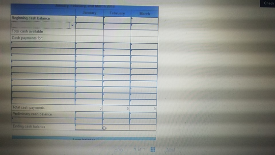 Check January Beginning cash balance Total cash available Cash payments for Total cash payments Preliminary cash balance Endi