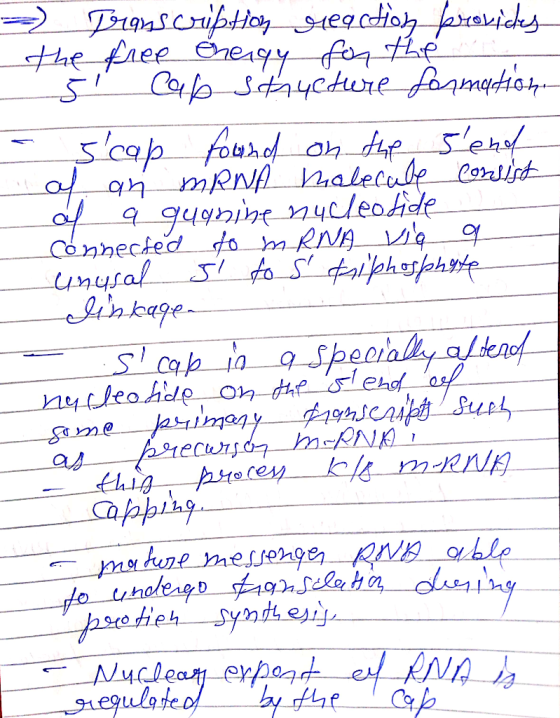 Tramscriftioy egdiog hraicks Haefaee neaqy foqthe Cofetyure foamytio4 Scap fourd serif Conhected o m RNA unysaf Иydeo hede o