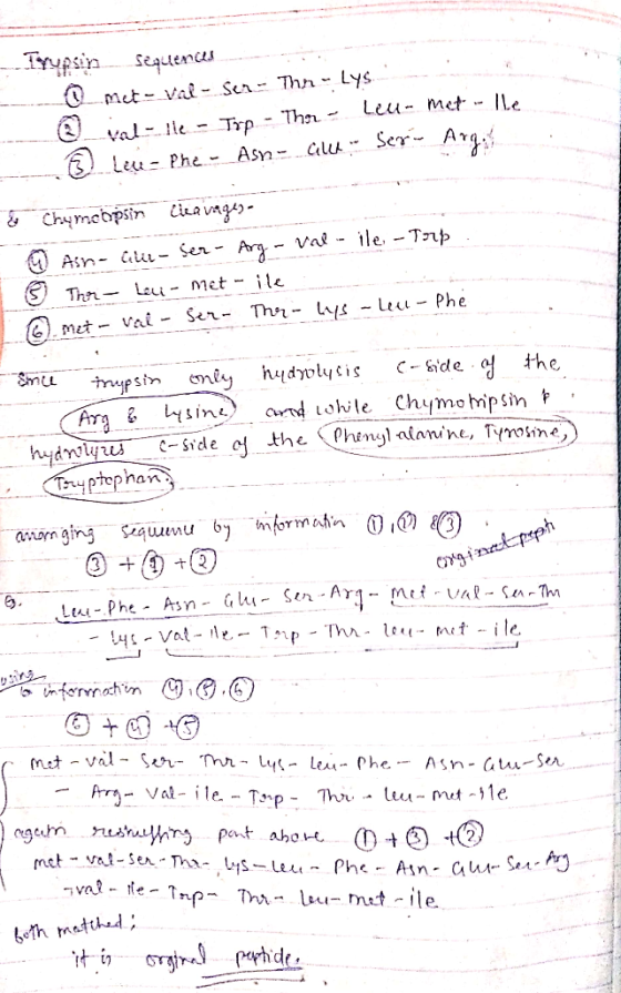 Tryfsin sequence. mtal-Sen Th Lys Leu- Phe- Asn- Gu- Ser- Ar tiuav vag T-eu- met- ile anorn ging saumu b, -mformahn 0M ㈲ g. )