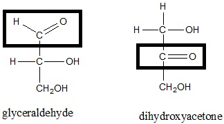 H_COH CH2OH CH2OH glyceraldehyde dihydroxyacetone