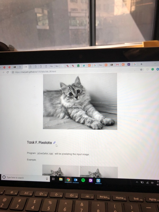 С Ohttps://maryash githubionasatsab08 html -) Task F. Pixelate Program pixelate.cpp wil be pixelating the input image Example