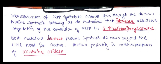 oveHexpotession of PRPp Sunhetaie elevate lux thououg the de novo me Syntheaz bathoayas do mutations thot upstewo ulation ag