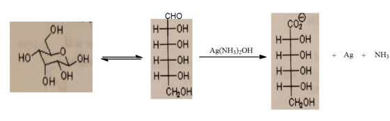 Сно со Н—он он Н- он Н+он Н+ он Н— он HO ОH он Он As(NH3)2ОH Н- -Он Ag NH3 Н—он Н— он CHон Ноно