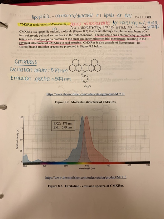 lipop ilic-combine/aucier m ipd or fata 1 Page 1110 CMXRos (chloromethyl-X-rosamine)-Scins mitochorriria by roudina wlcthio C