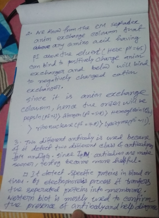 ary amino acil paving om bind posfively charge niot excharger anel bel wilu bindl exclaye7 Tue duHeror defect tawo dine ont a