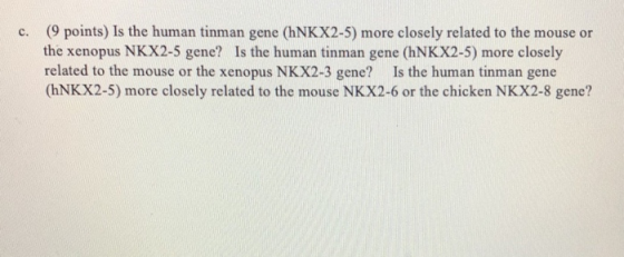 (9 points) Is the human tinman gene (hNKX2-5) more closely related to the mouse or the xenopus NKX2-5 gene? Is the human tinm
