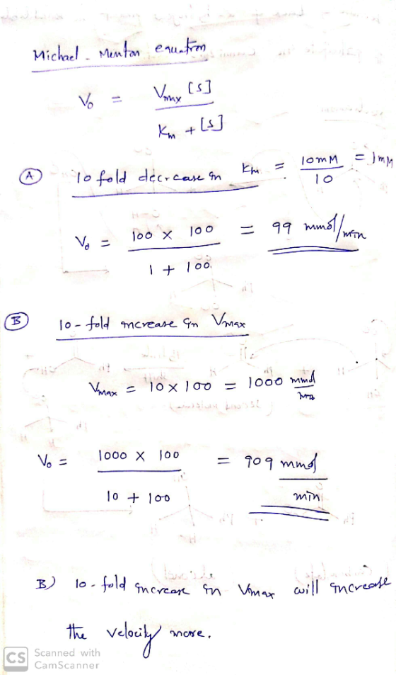 Michel M eutm LAJ KM + -JmM 1om M l0 fold deCrcase n A 99 Mms JOo o-fold creare GmVMsx ooo Mmd VMax 10 x 1o0 lo0o X Joo T09 m