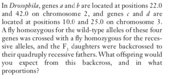 In Drosophila, genes a and b are located at positions 22.0 and 42.0 on chromosome 2, and genes c and d are located at positio