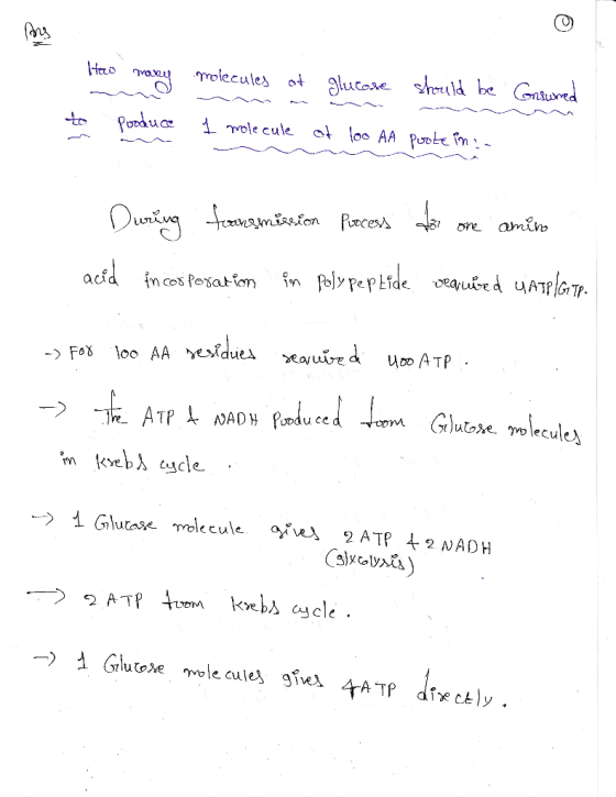 fony Ito mond molecules ot glucose 팠rt(ld be Galurt e omivo -> 1 Gluase molecule o rus 2 ATP t 2 NADH vebA cle