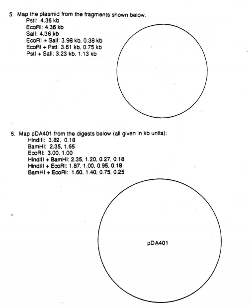 5. Map the plasmid from the fragments shown below. Pstl: 4.36 kb EcoRI: 4.36 kb Sall: 4.36 kb EcoRI+Sall: 3.98 kb, 0.38 kb Ec