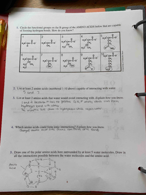 1. Circle the funct tional groups on the R-group of the AMINO ACIDs below that are capable of forming hydrogen bonds. How do