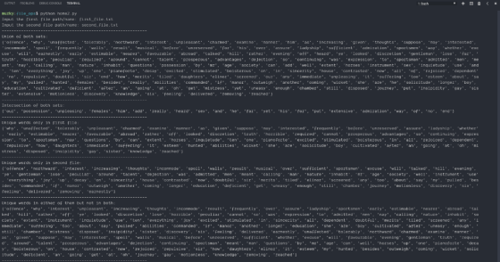 TERNINAL 1: bash murky: F1le opst python honez.py Input the first File path/nane: first file.txt Input the second file path/n