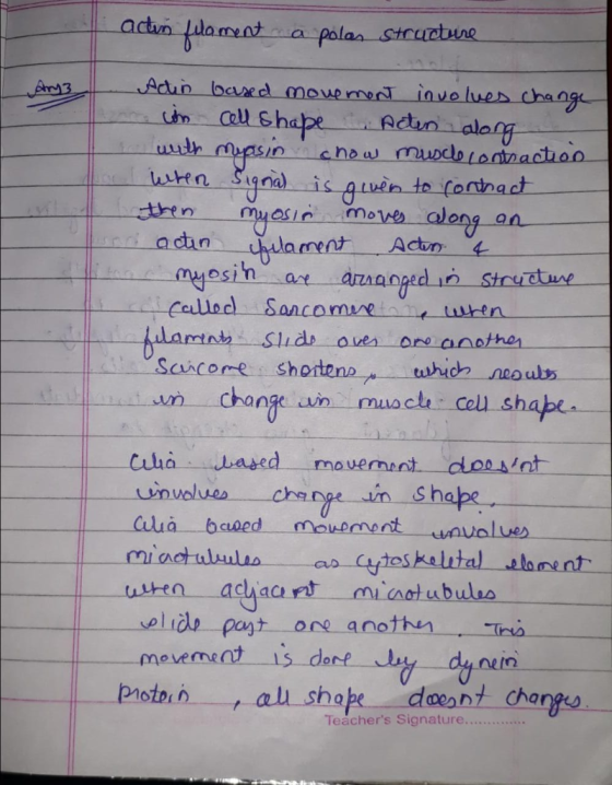 テー inch a then osinmote along an adun acan udarment Actn involses charge n Shape one anotnTrs mevement is dore Piotoin al sh