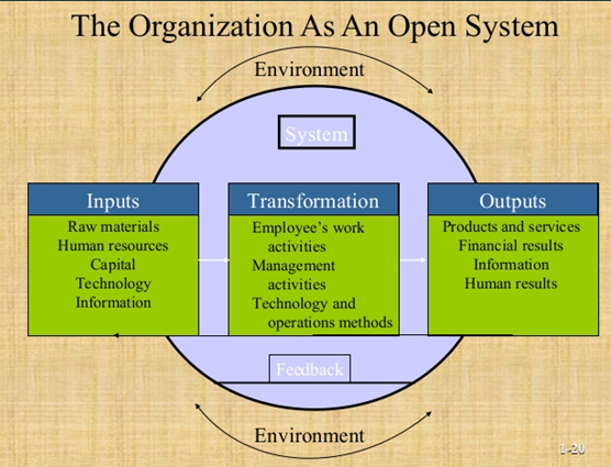 The Organization As An Open System Environment Inputs Transformation Outputs Raw materials Products and services Employees w