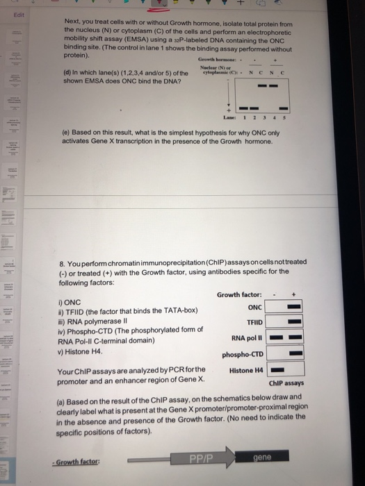 Edit Next, you treat cells with or without Growth hormone, isolate total protein from the nucleus (N) or cytoplasm (C) of the