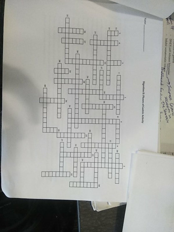 an il neease Gamn sECevn m DNES cell relcases histamine Inhibit somatostatin relee sed fodThe Starech Name Digestion Il: Phas