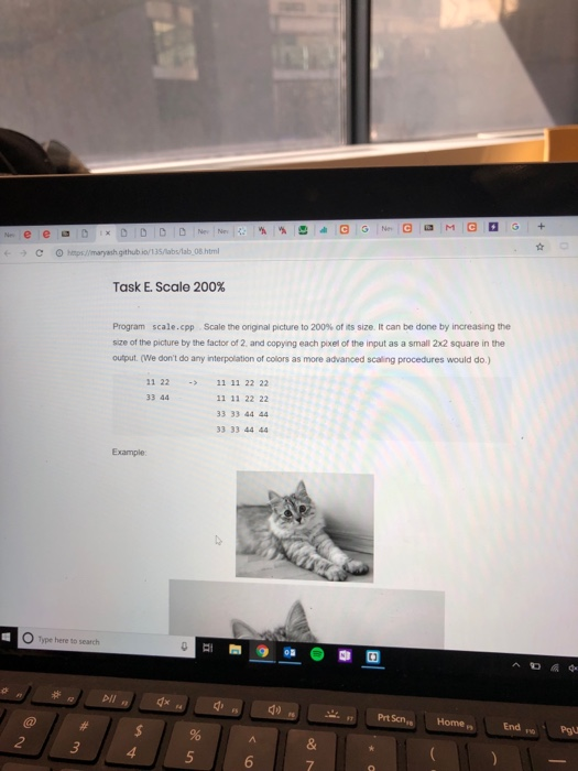 O hmps//maryash github 1o/135/labs/lab 08 html Task E. Scale 200% Program scale.cpp Scale the ongnal picture to 200% of its s