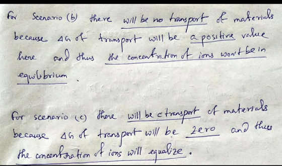 Scenario (b) dhere will be no because AG t l be a postn value he contenttron t ims wortbe in here dhus Cem eqwbbrium Fr scene
