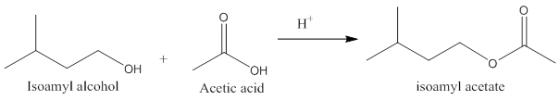 он он Acetic acid Isoamyl alcohol isoamyl acetate