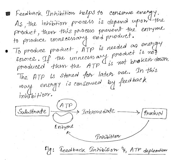 Feedback Inhibition helps to consewe energy. As, the inhibition process is depend upon the product, then this process prevent