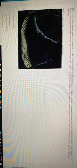This is a performance running sneaker, the Futurecraft 4D, which is produced by adidas. The shoe features a 3D printed midsol