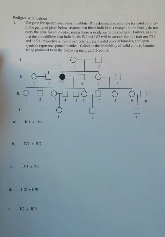 Pedigree Applications 1. The gene for spotted coat color in rabbits (R) is dominant to its allele for solid color (r). In the pedigree given below, assume that those individuals brought in the family do not carry the gene for solid color, unless there is evidence to the contrary. Further, assume that the probabilities that individuals IVI and IV2 will be careers for this trait are 7/12 and 11/24, respectively. Solid symbols represent solid colored bunnies, and open symbols represent spotted bunnies. Calculate the probability of solid colored bunnies being produced from the following matings: (15 points) 4 9 10 a. IIII x IV3 b. IVI x IV2 c. IVI x IV3 e. 112 x 1119