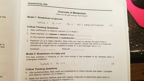 e the t is Activity 49A overview of Metabolism (Ho
